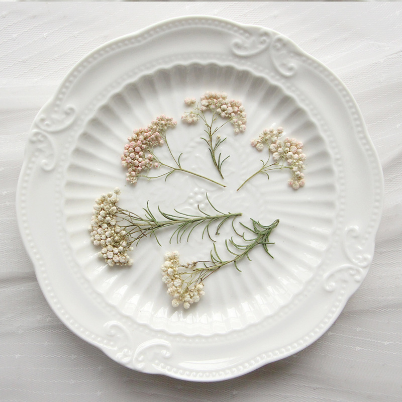 Dried Flower Bookmark - 12 قطعة، أغصان زهور الدخن الطبيعية،