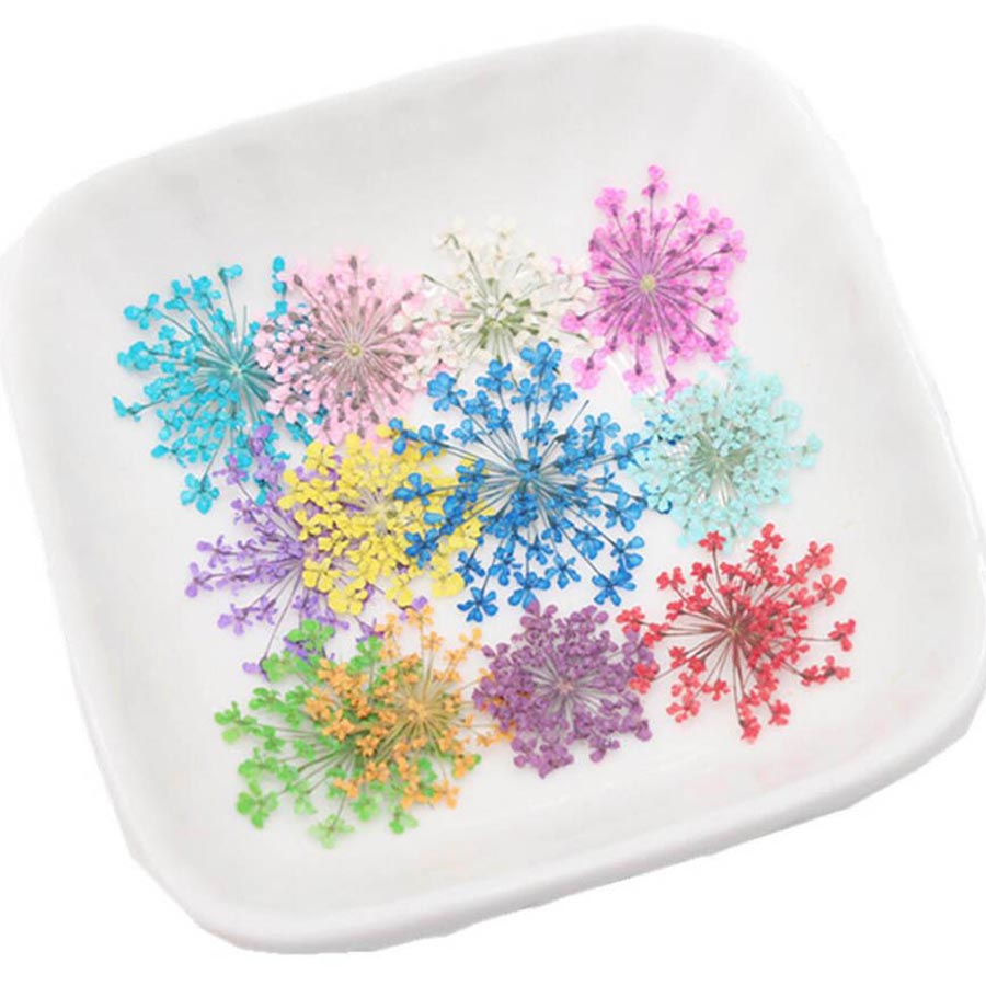 60 قطعة ضغط المجففة 15-20 مللي - مراجعة Dried Flower Bookmark وسعره