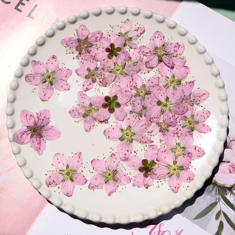 زهور الخوخ المجففة المضغوطة، 3 - مراجعة Dried Flower Bookmark وسعره